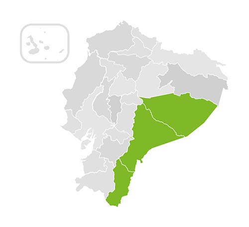 communities-and-ethnicities.alt_imgmapa-amazon-2