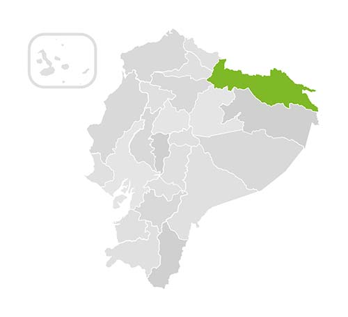 communities-and-ethnicities.alt_imgmapa-amazon-1