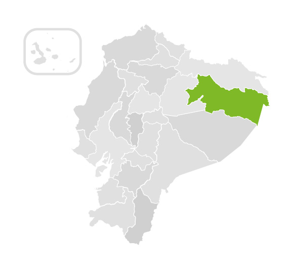 Mapa Napo - Ecuador