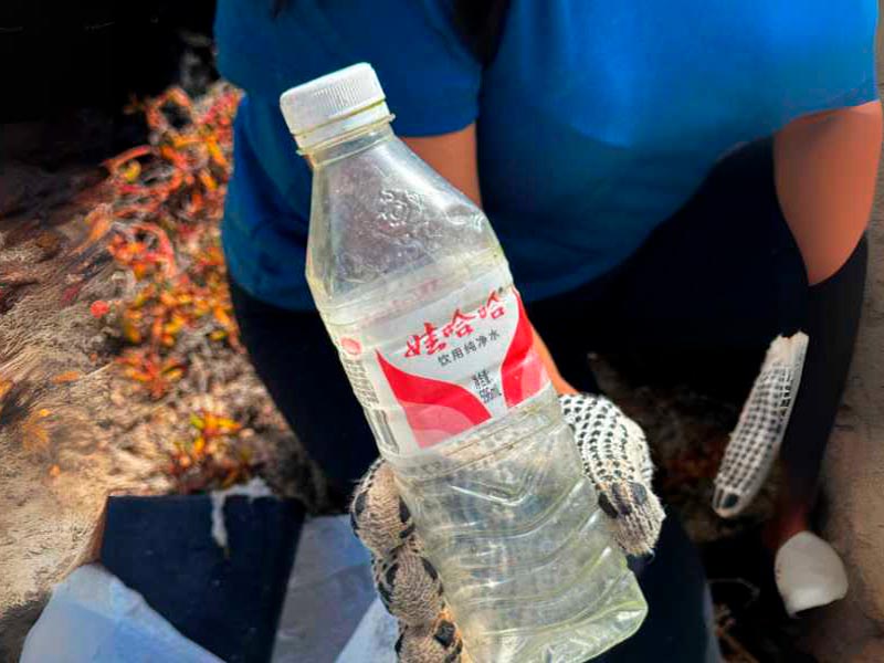 Galaxy Expedition colabora con organizaciones ambientales para la conservación de las Islas Galápagos.
